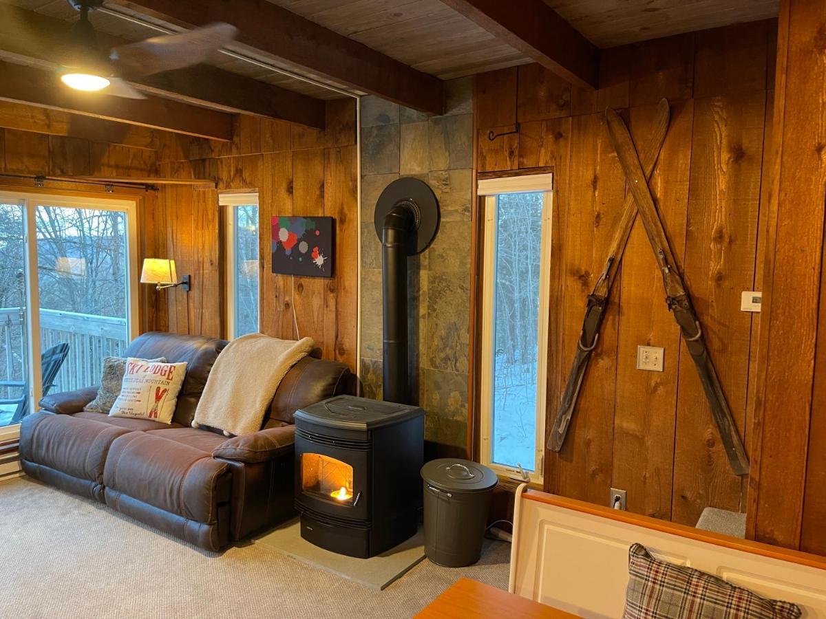 Mandy'S Mountain Chalet Довер Екстер'єр фото