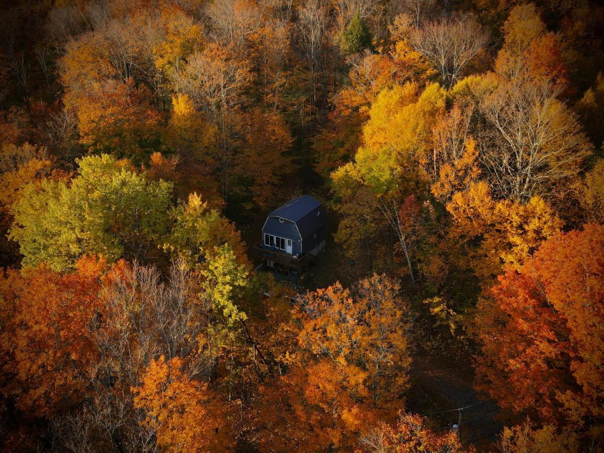 Mandy'S Mountain Chalet Довер Екстер'єр фото